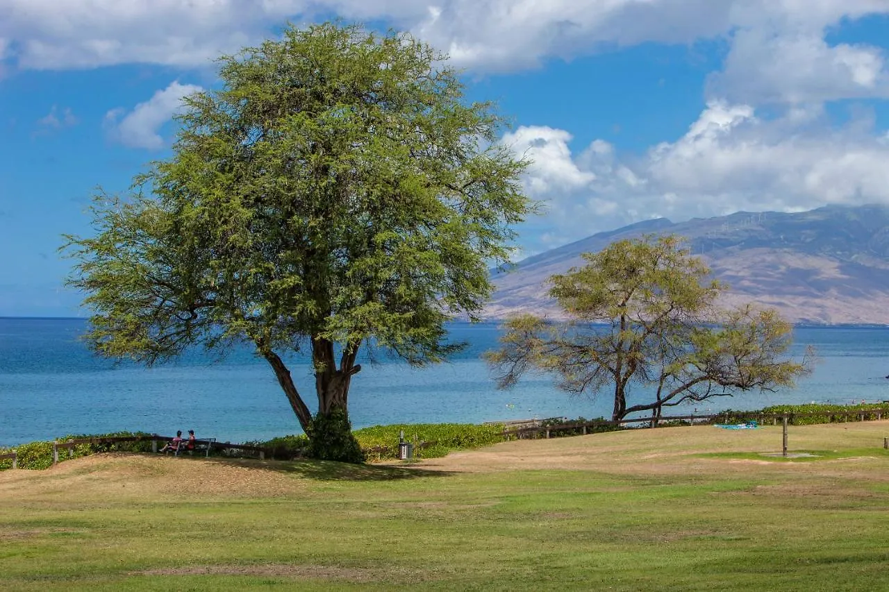 Hale Kamaole 135 Villa Wailea