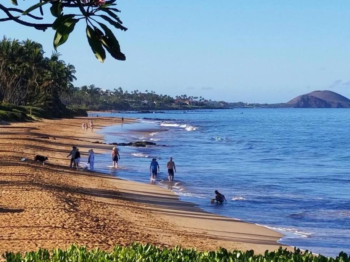 Hale Kamaole 135 Villa Wailea  United States
